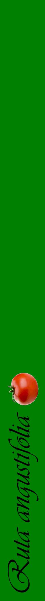 Étiquette de : Ruta angustifolia - format a - style noire9viv avec comestibilité simplifiée