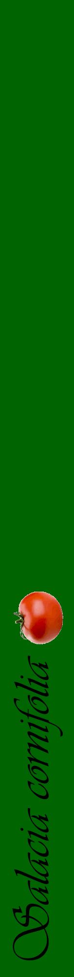 Étiquette de : Salacia cornifolia - format a - style noire8viv avec comestibilité simplifiée