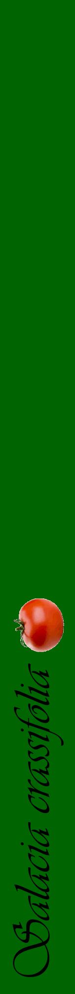 Étiquette de : Salacia crassifolia - format a - style noire8viv avec comestibilité simplifiée