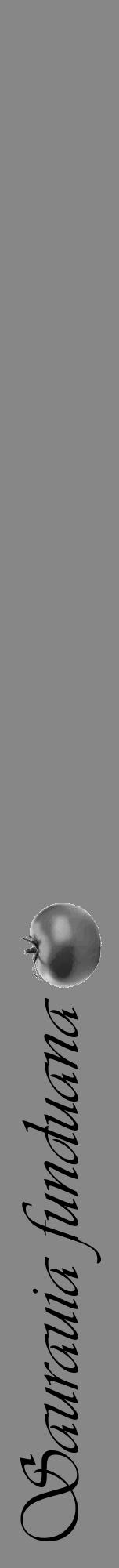 Étiquette de : Saurauia funduana - format a - style noire12viv avec comestibilité simplifiée - position verticale