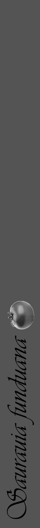 Étiquette de : Saurauia funduana - format a - style noire30viv avec comestibilité simplifiée - position verticale