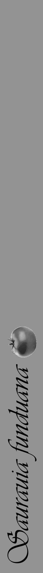 Étiquette de : Saurauia funduana - format a - style noire44viv avec comestibilité simplifiée - position verticale