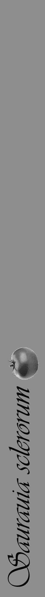 Étiquette de : Saurauia sclerorum - format a - style noire25viv avec comestibilité simplifiée - position verticale