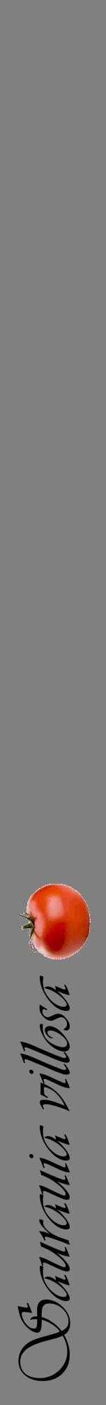 Étiquette de : Saurauia villosa - format a - style noire57viv avec comestibilité simplifiée
