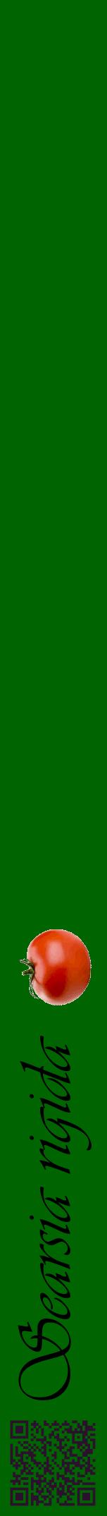 Étiquette de : Searsia rigida - format a - style noire8viv avec qrcode et comestibilité simplifiée