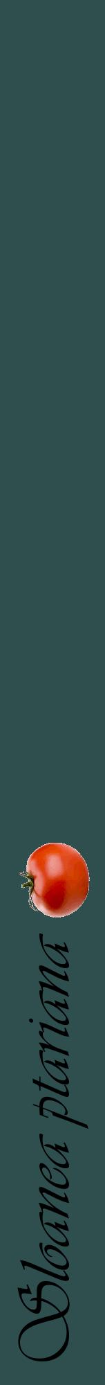 Étiquette de : Sloanea ptariana - format a - style noire58viv avec comestibilité simplifiée