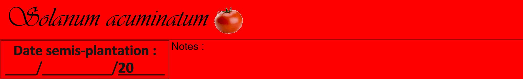 Étiquette de : Solanum acuminatum - format a - style noire27viv avec comestibilité simplifiée