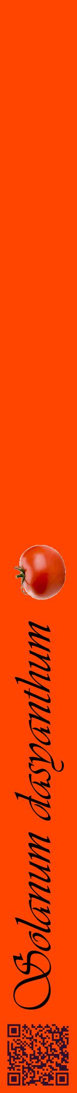 Étiquette de : Solanum dasyanthum - format a - style noire26viv avec qrcode et comestibilité simplifiée