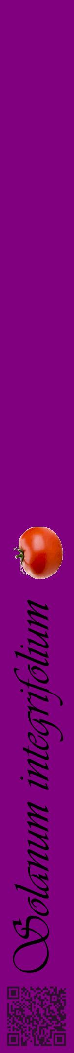 Étiquette de : Solanum integrifolium - format a - style noire46viv avec qrcode et comestibilité simplifiée
