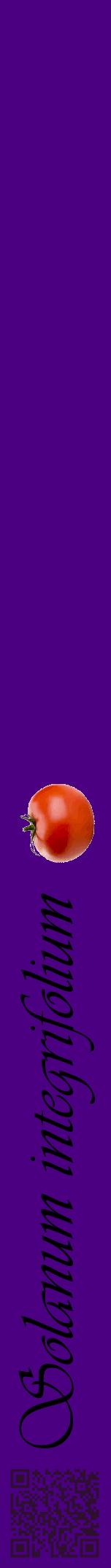 Étiquette de : Solanum integrifolium - format a - style noire47viv avec qrcode et comestibilité simplifiée