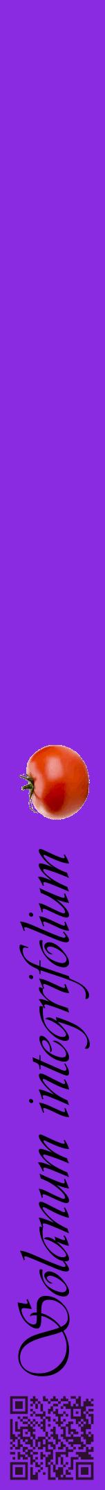 Étiquette de : Solanum integrifolium - format a - style noire49viv avec qrcode et comestibilité simplifiée