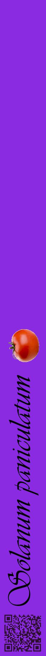 Étiquette de : Solanum paniculatum - format a - style noire49viv avec qrcode et comestibilité simplifiée