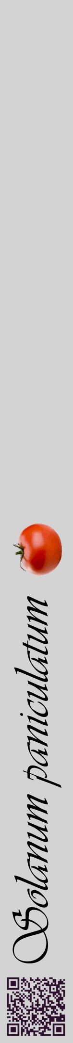 Étiquette de : Solanum paniculatum - format a - style noire56viv avec qrcode et comestibilité simplifiée