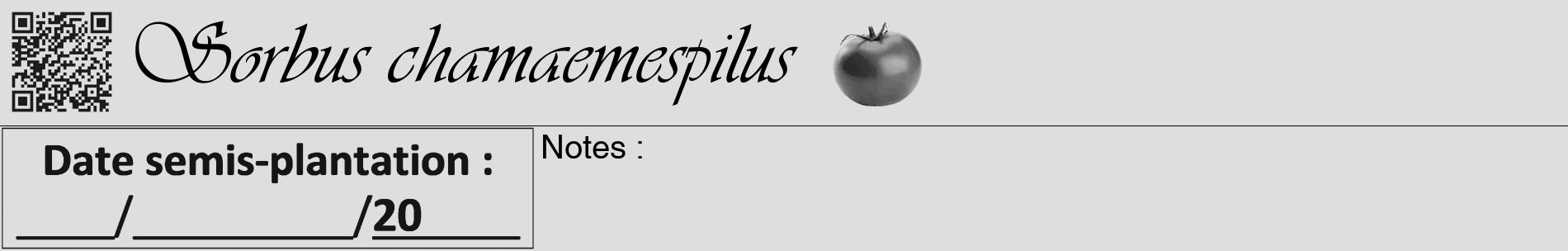 Étiquette de : Sorbus chamaemespilus - format a - style noire20basiqueviv avec qrcode et comestibilité simplifiée