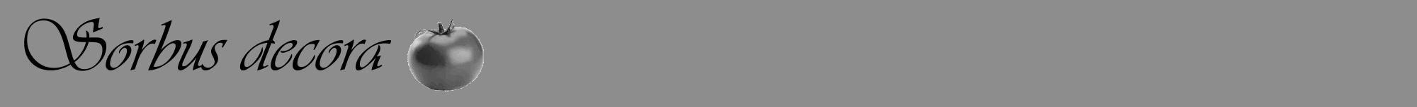 Étiquette de : Sorbus decora - format a - style noire2viv avec comestibilité simplifiée