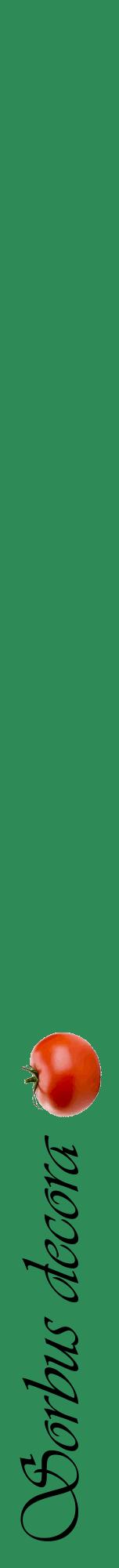 Étiquette de : Sorbus decora - format a - style noire11viv avec comestibilité simplifiée