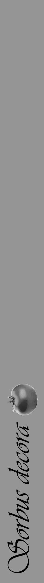 Étiquette de : Sorbus decora - format a - style noire16viv avec comestibilité simplifiée - position verticale