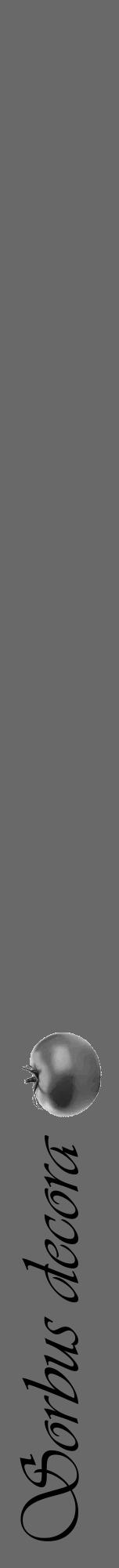 Étiquette de : Sorbus decora - format a - style noire51viv avec comestibilité simplifiée - position verticale