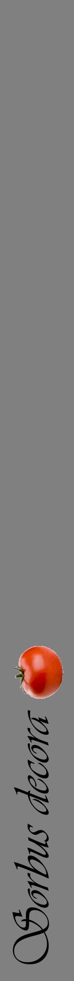 Étiquette de : Sorbus decora - format a - style noire57viv avec comestibilité simplifiée