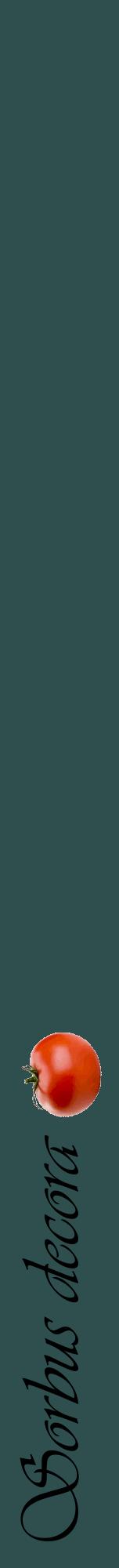 Étiquette de : Sorbus decora - format a - style noire58viv avec comestibilité simplifiée