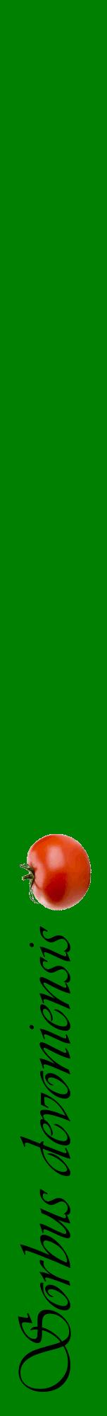 Étiquette de : Sorbus devoniensis - format a - style noire9viv avec comestibilité simplifiée