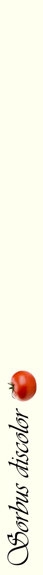 Étiquette de : Sorbus discolor - format a - style noire19viv avec comestibilité simplifiée
