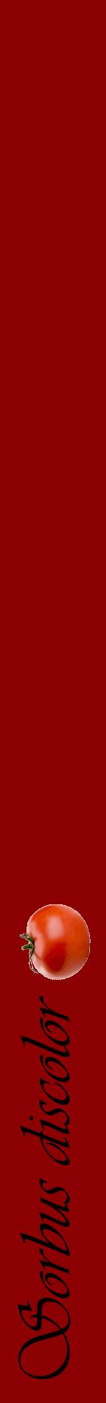 Étiquette de : Sorbus discolor - format a - style noire34viv avec comestibilité simplifiée