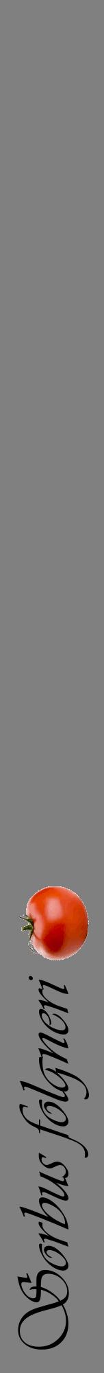 Étiquette de : Sorbus folgneri - format a - style noire57viv avec comestibilité simplifiée