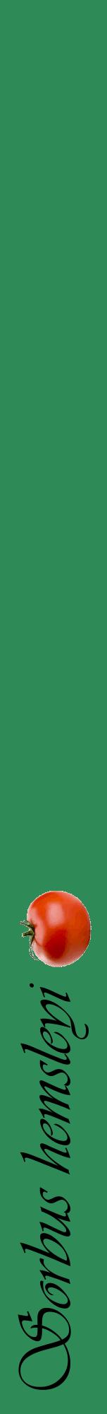 Étiquette de : Sorbus hemsleyi - format a - style noire11viv avec comestibilité simplifiée