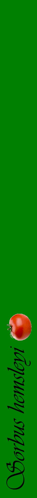 Étiquette de : Sorbus hemsleyi - format a - style noire9viv avec comestibilité simplifiée