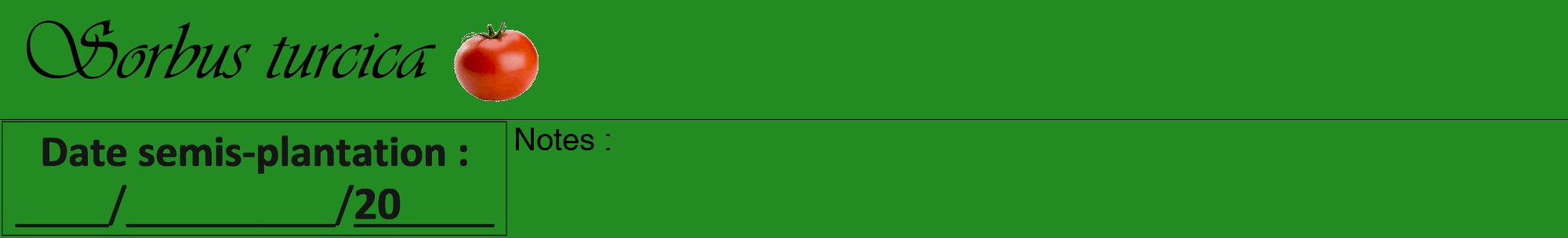 Étiquette de : Sorbus turcica - format a - style noire10viv avec comestibilité simplifiée