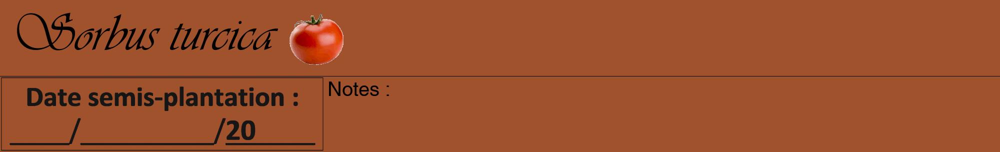 Étiquette de : Sorbus turcica - format a - style noire32viv avec comestibilité simplifiée