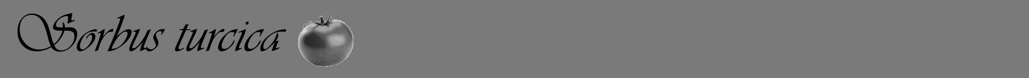 Étiquette de : Sorbus turcica - format a - style noire3viv avec comestibilité simplifiée