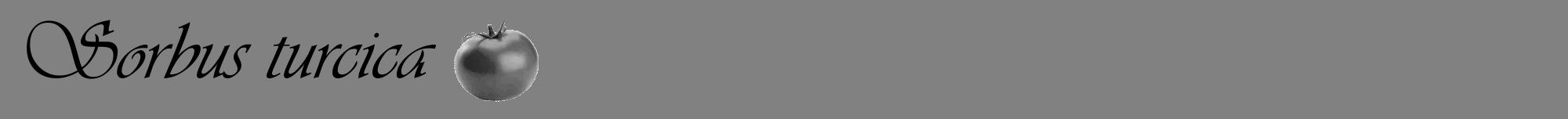 Étiquette de : Sorbus turcica - format a - style noire50viv avec comestibilité simplifiée
