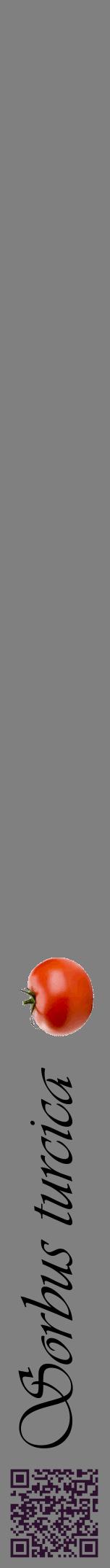Étiquette de : Sorbus turcica - format a - style noire57viv avec qrcode et comestibilité simplifiée
