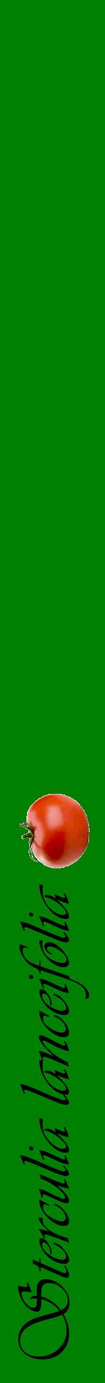 Étiquette de : Sterculia lanceifolia - format a - style noire9viv avec comestibilité simplifiée