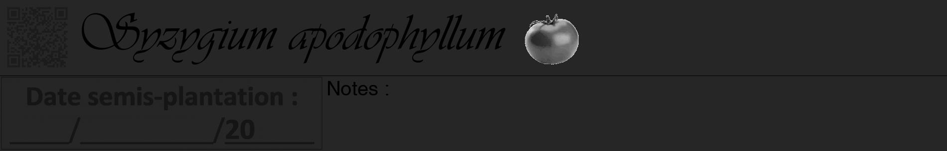 Étiquette de : Syzygium apodophyllum - format a - style noire29basiqueviv avec qrcode et comestibilité simplifiée