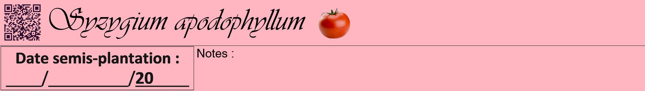 Étiquette de : Syzygium apodophyllum - format a - style noire41viv avec qrcode et comestibilité simplifiée