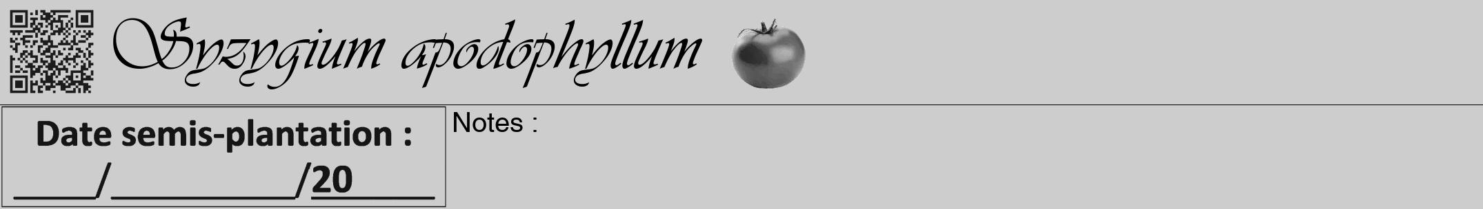 Étiquette de : Syzygium apodophyllum - format a - style noire41viv avec qrcode et comestibilité simplifiée