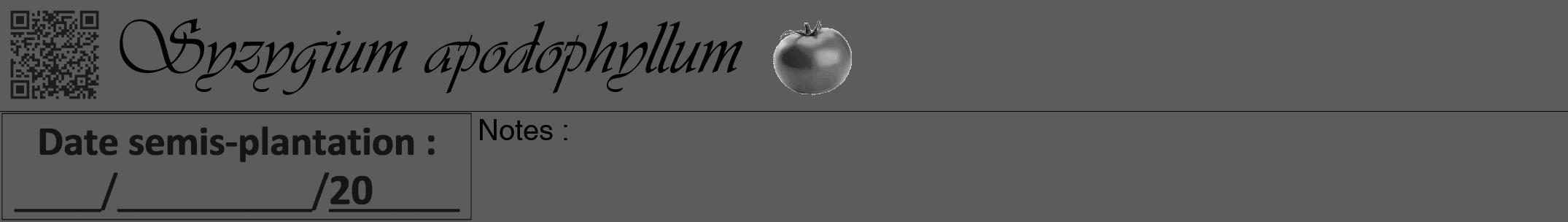 Étiquette de : Syzygium apodophyllum - format a - style noire49viv avec qrcode et comestibilité simplifiée