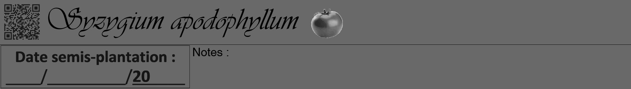 Étiquette de : Syzygium apodophyllum - format a - style noire51viv avec qrcode et comestibilité simplifiée