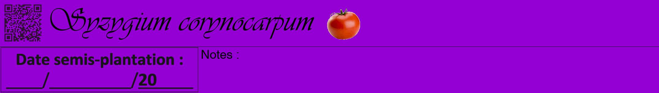 Étiquette de : Syzygium corynocarpum - format a - style noire48viv avec qrcode et comestibilité simplifiée