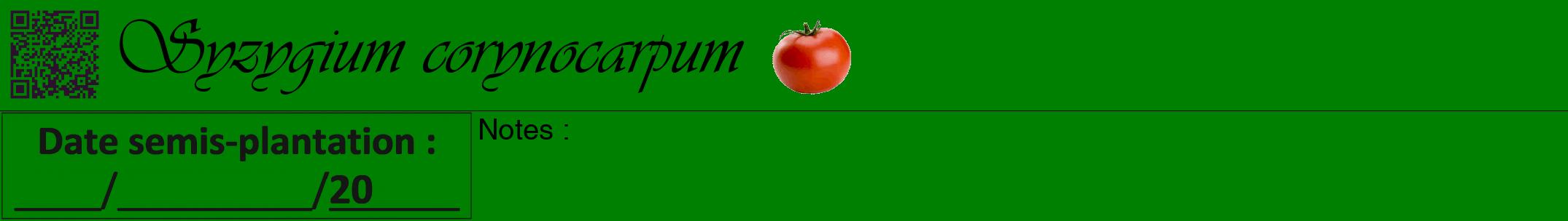 Étiquette de : Syzygium corynocarpum - format a - style noire9simpleviv avec qrcode et comestibilité simplifiée