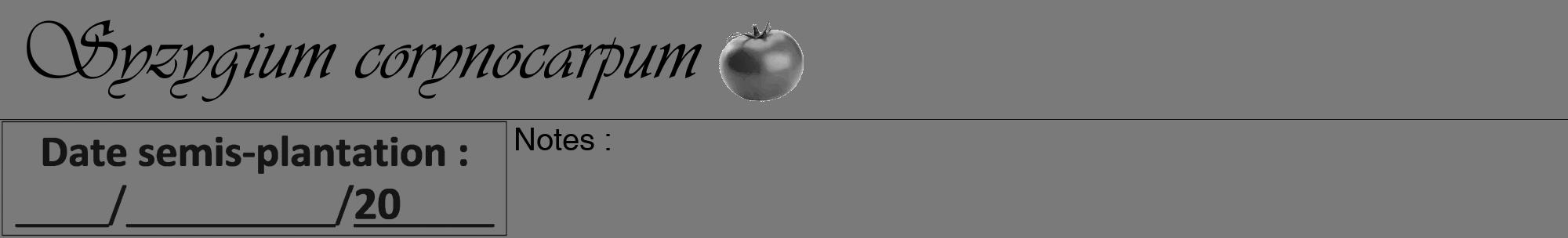 Étiquette de : Syzygium corynocarpum - format a - style noire3viv avec comestibilité simplifiée