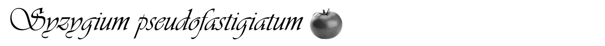 Étiquette de : Syzygium pseudofastigiatum - format a - style noire60viv avec comestibilité simplifiée