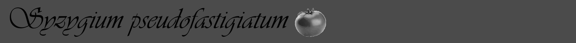 Étiquette de : Syzygium pseudofastigiatum - format a - style noire9viv avec comestibilité simplifiée