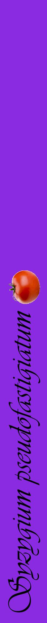 Étiquette de : Syzygium pseudofastigiatum - format a - style noire49viv avec comestibilité simplifiée