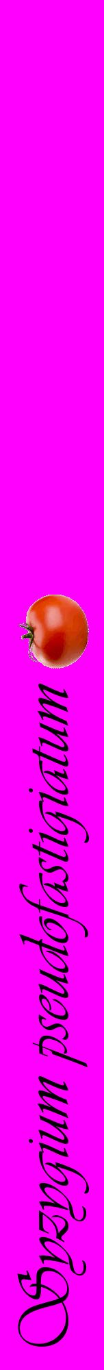 Étiquette de : Syzygium pseudofastigiatum - format a - style noire51viv avec comestibilité simplifiée