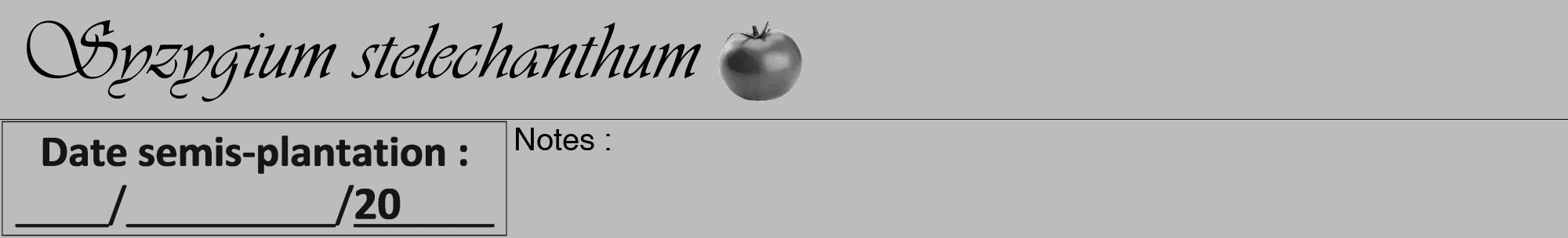 Étiquette de : Syzygium stelechanthum - format a - style noire1viv avec comestibilité simplifiée