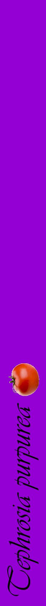 Étiquette de : Tephrosia purpurea - format a - style noire48viv avec comestibilité simplifiée